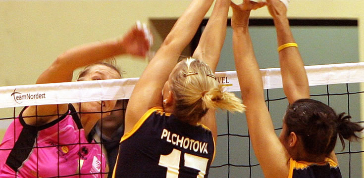 网页版呼叫中心